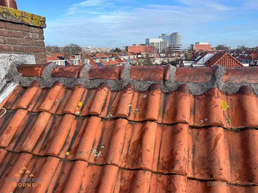 Borne Daken Renoveren
