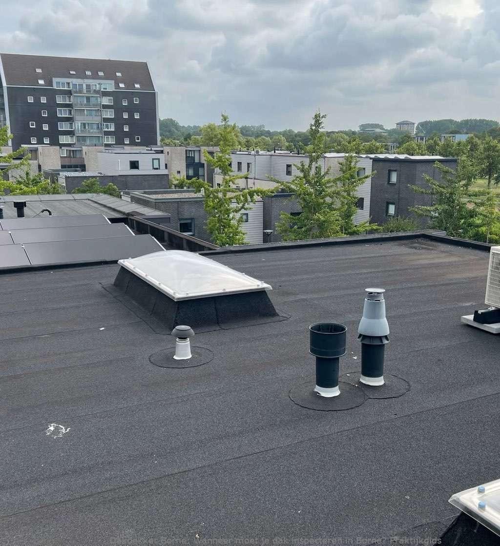 Dak Laten Inspecteren Borne