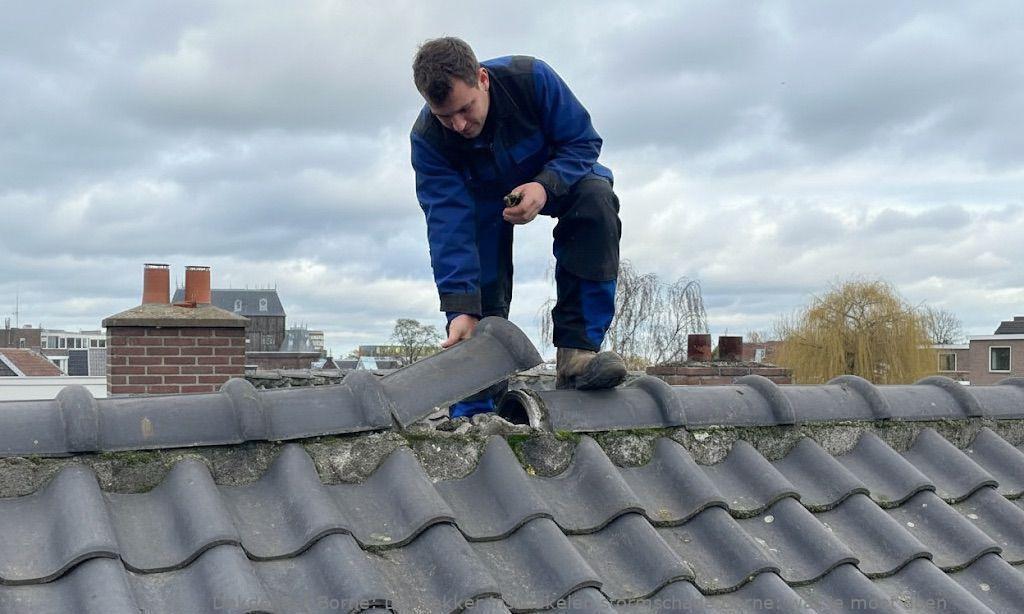 Dakdekker Inschakelen Stormschade Borne