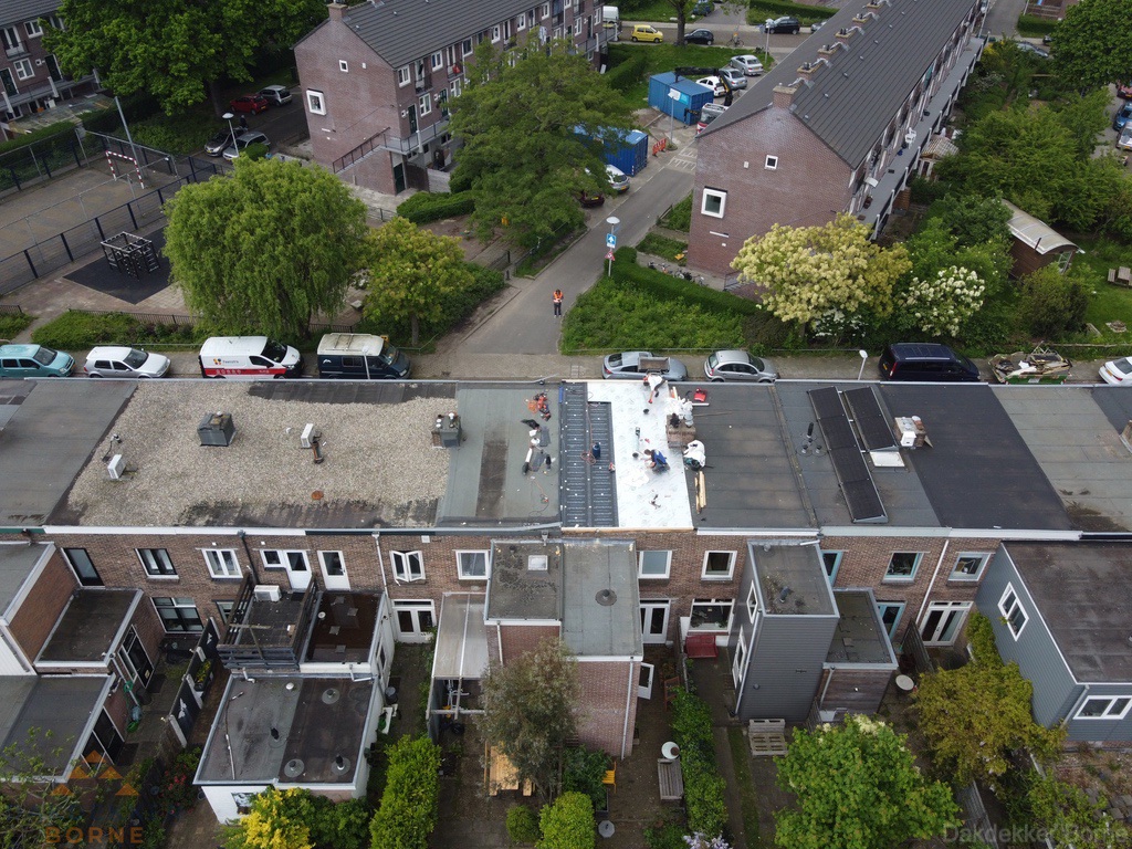 Dakinspectie In Borne