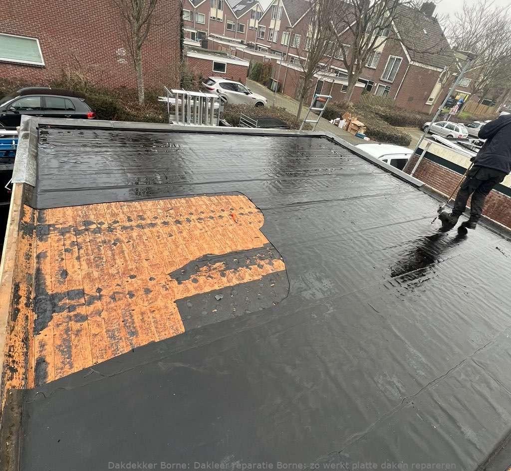 Dakleer Reparatie Borne