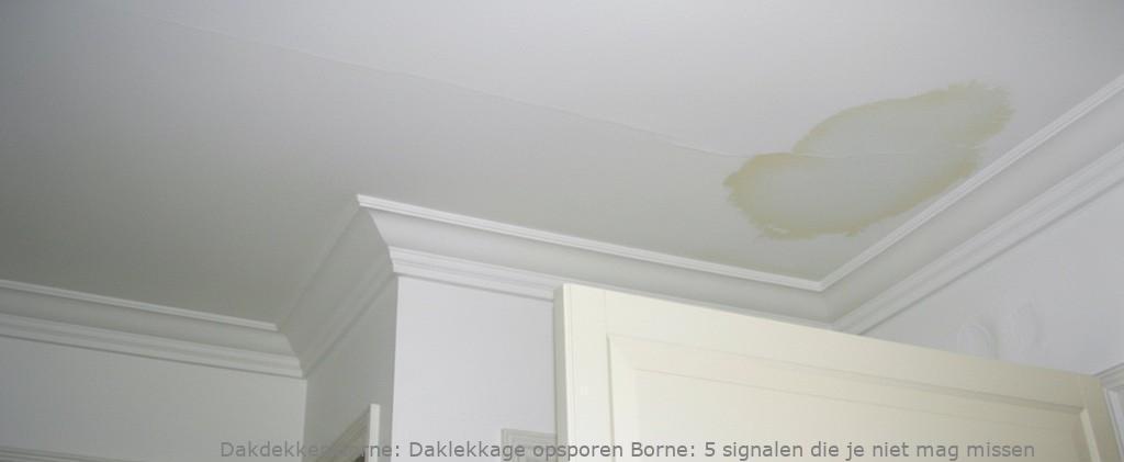 Daklekkage Opsporen Borne 1