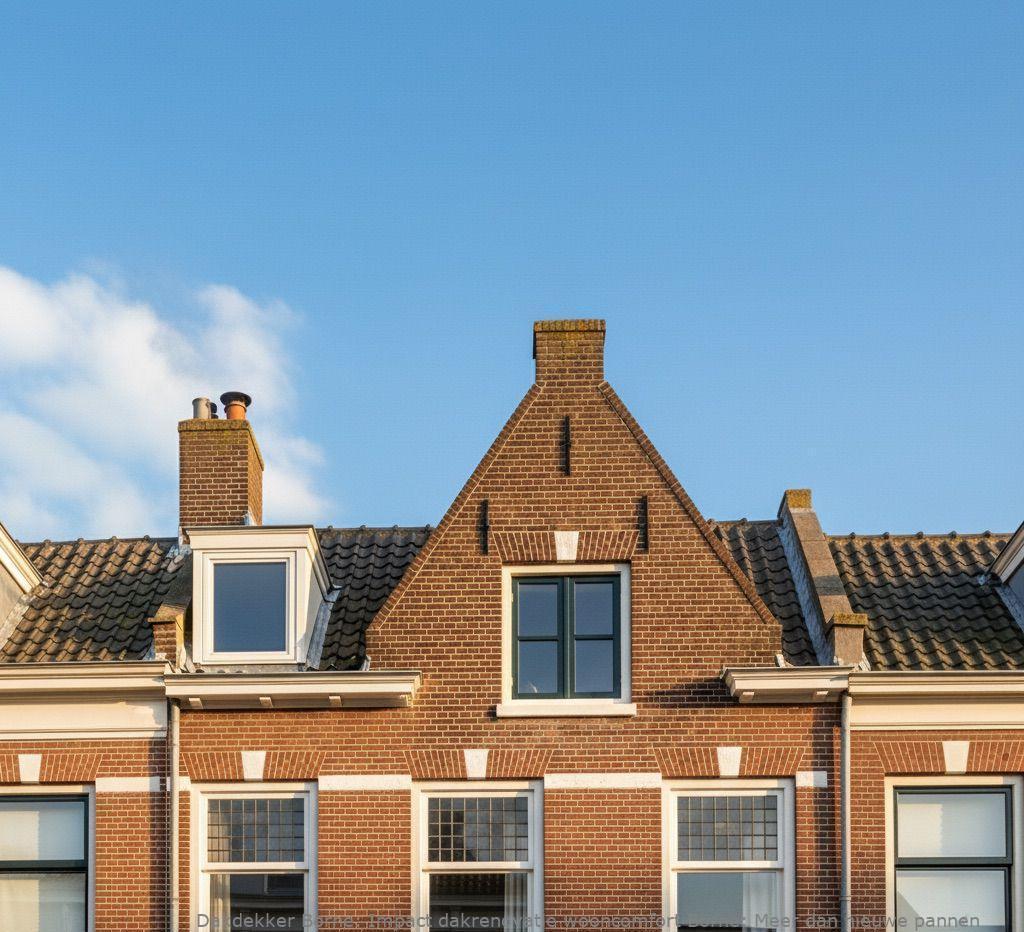 Impact Dakrenovatie Wooncomfort Borne