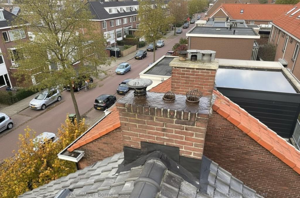 Lekkage Aan De Schoorsteen Borne