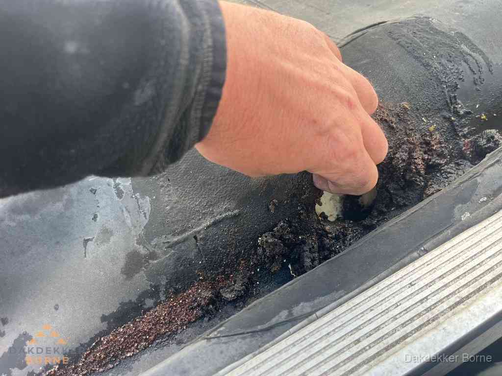 Plat Dak Reparatie Borne