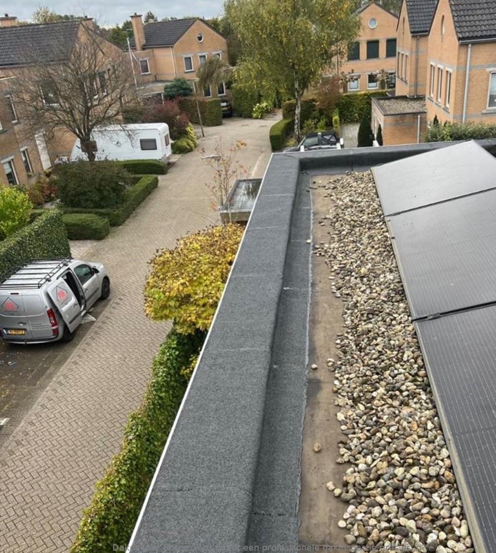 Professionele Dakinspectie Borne
