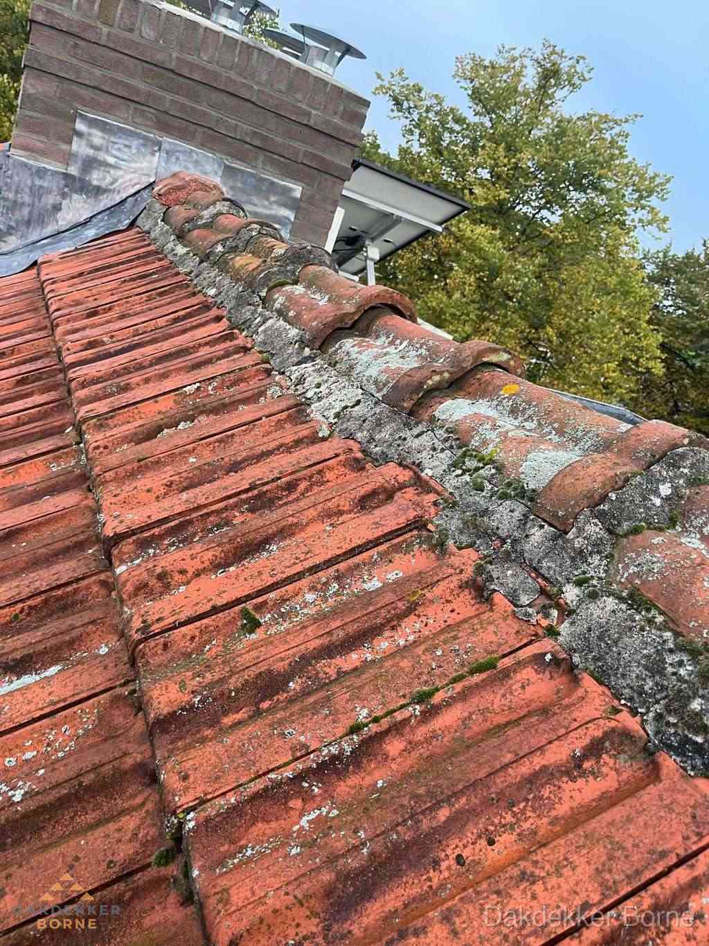 Renovatie Hellend Dak Borne