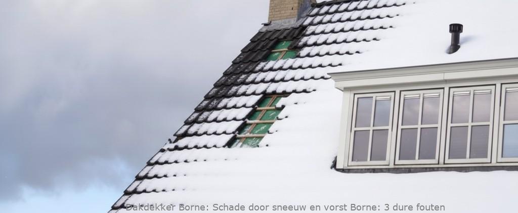 Schade Door Sneeuw En Vorst Borne