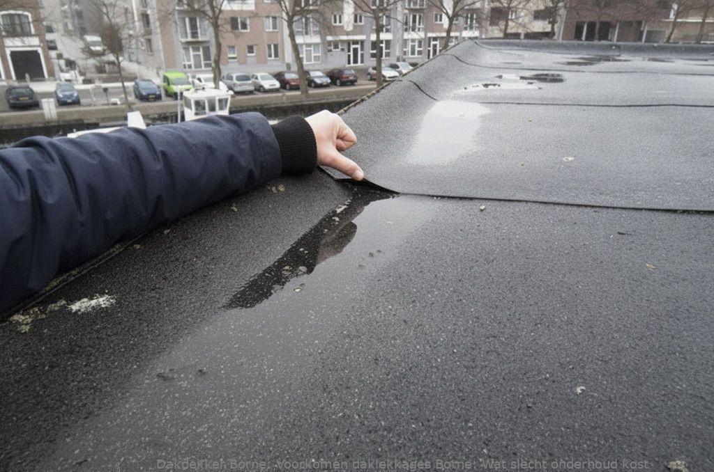 Voorkomen Daklekkages Borne